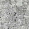 Urban Veins(Black and White) ( ZHA 173 )